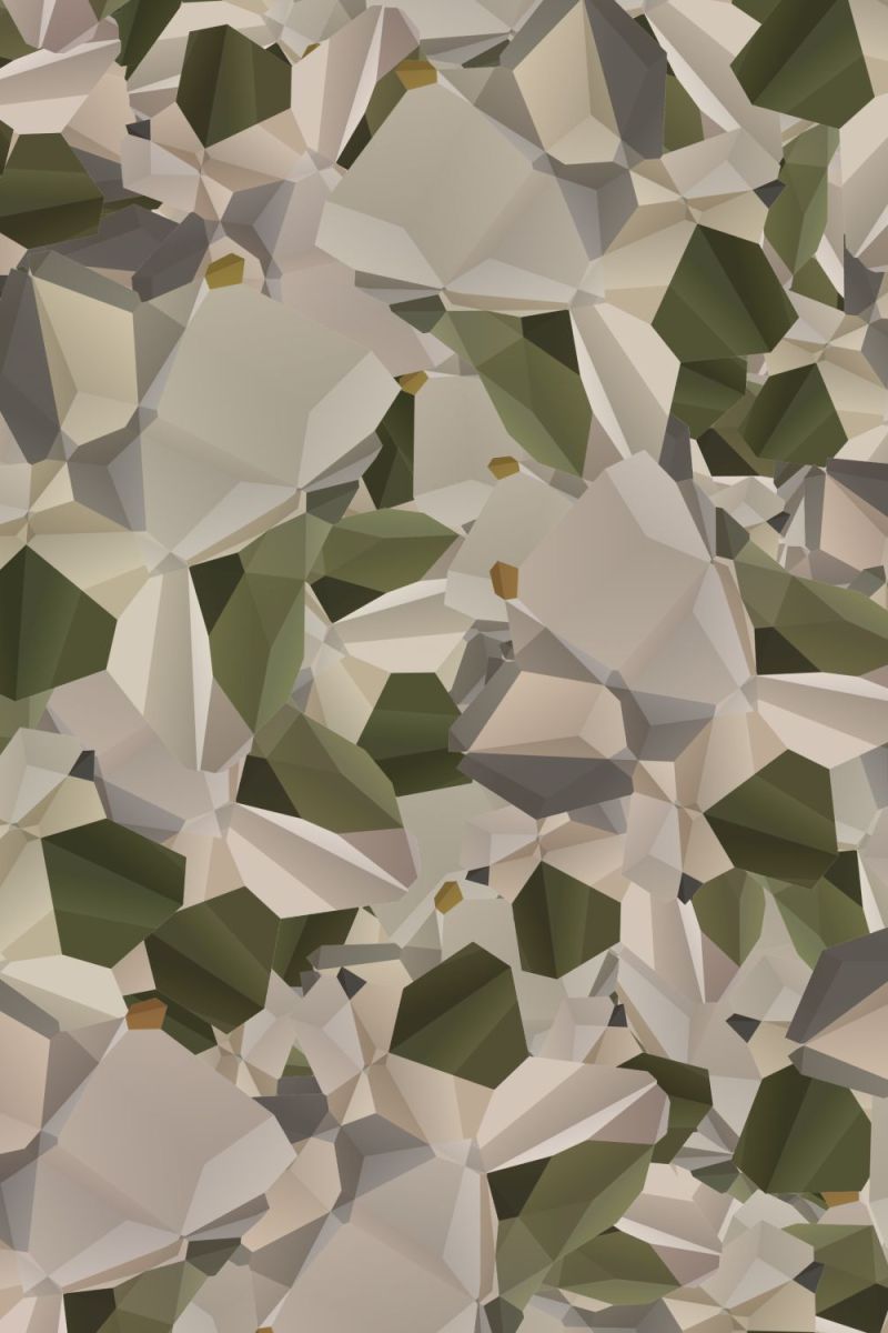 Polygon 22 Camouflage