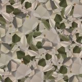 Polygon-22-Camo.jpg