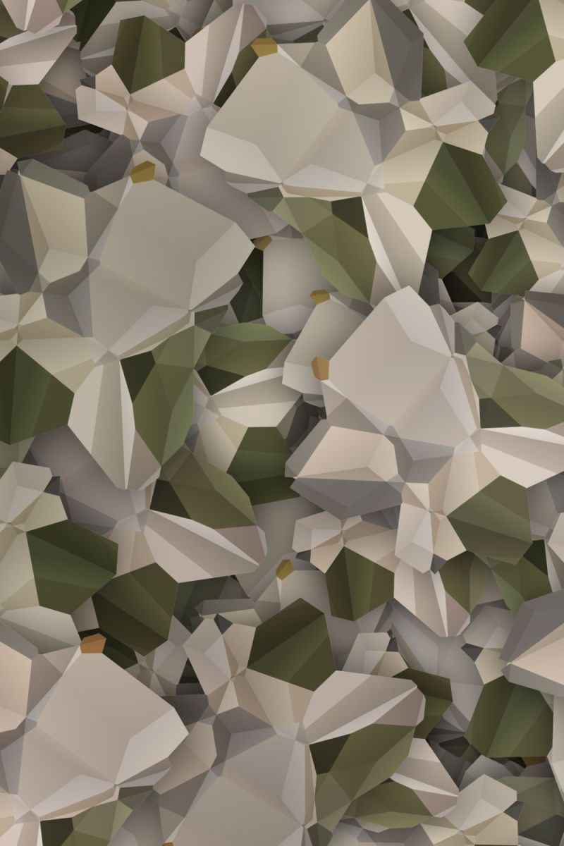 Polygon 23 Camouflage