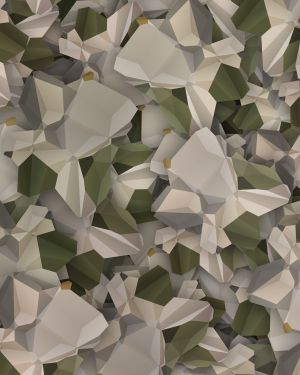 Polygon 23 Camouflage