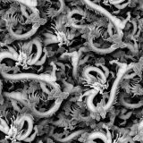 Porcelain-Dragons-22-thumb.jpg