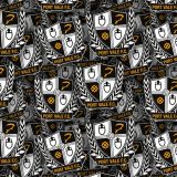 Port-Vale-FC.jpg
