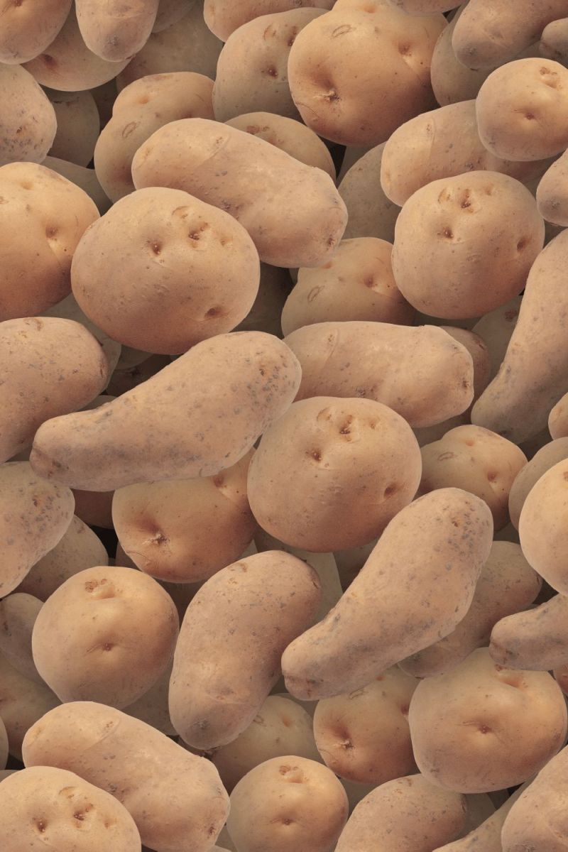 Potatoes 22