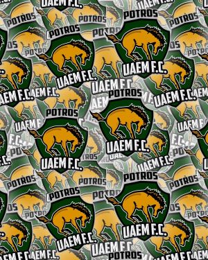 Potros UAEM FC