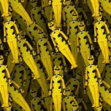 Power-Rangers-Jungle-Fury-27.jpg