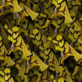 Power-Rangers-Mystic-Forec-29.jpg