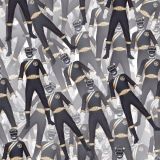 Power-Rangers-Wild-Force-23.jpg