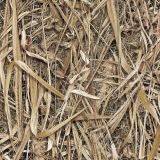 Premium-Kolpin-Dry-Armor-Waterfowl-Camo-thumb.jpg