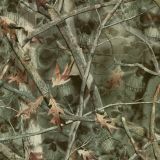 Proveil-Reaper-Woods.jpg