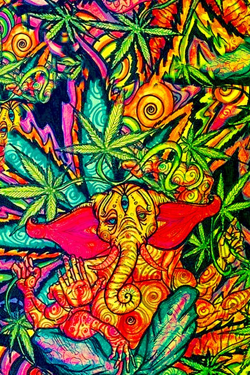 Psychedelic Kushna