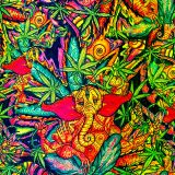 Psychadelic-Kushna.jpg