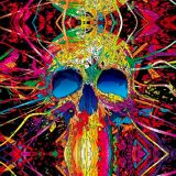 Psycho-Skull-11x16-1.jpg