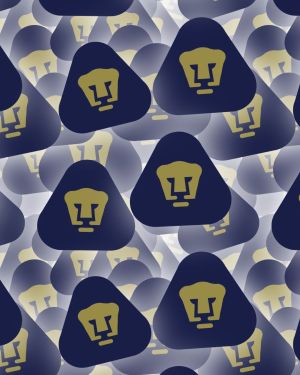 Puma UNAM
