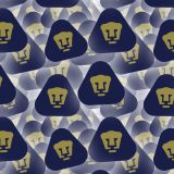 Puma-UNAM.jpg
