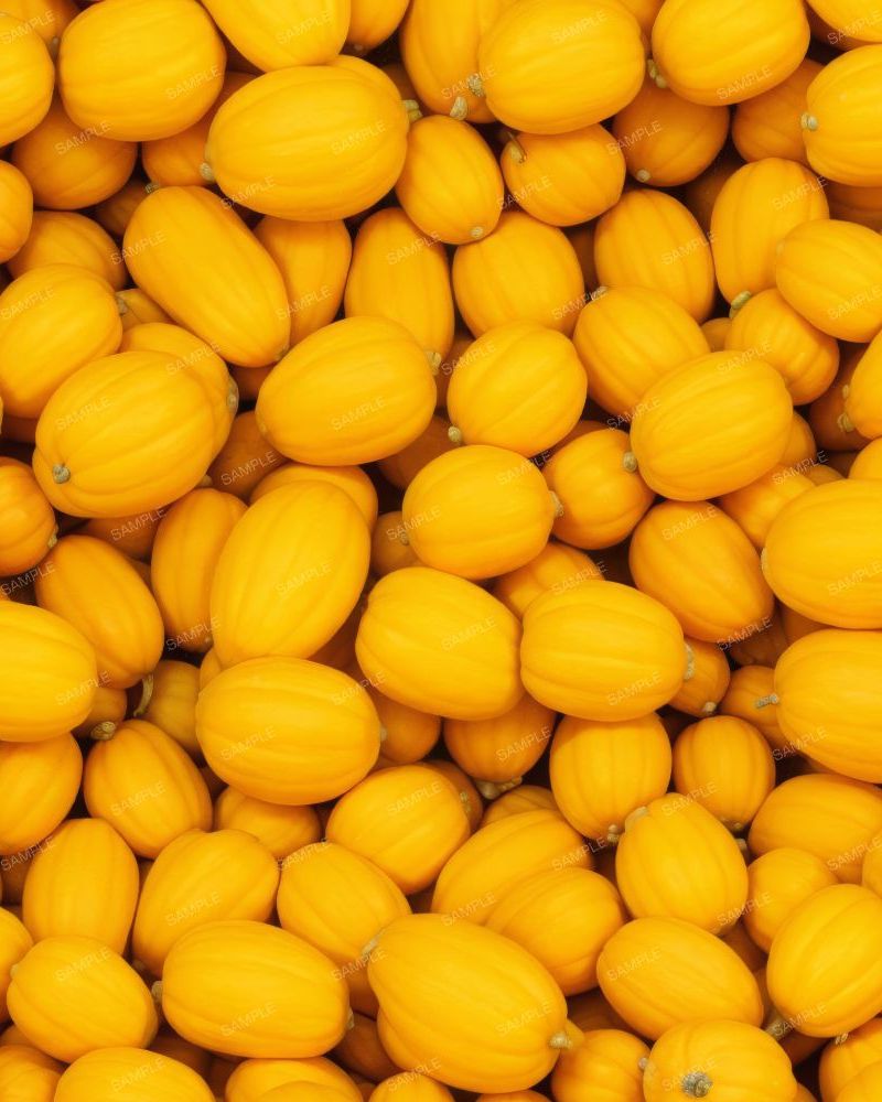 Pumpkin Squash