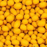 Pumpkin-Squash.jpg