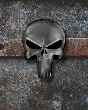Punisher 27 11×16