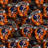 Punisher-Fire-Rescue-22.jpg