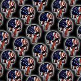 Punisher-Flag-33.jpg