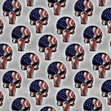 Punisher-Flag-34.jpg