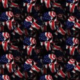 Punisher-Flag-35.jpg