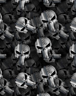Punisher Silver Thin Line