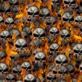 Punisher-Skulls-Fire-thumb.jpg
