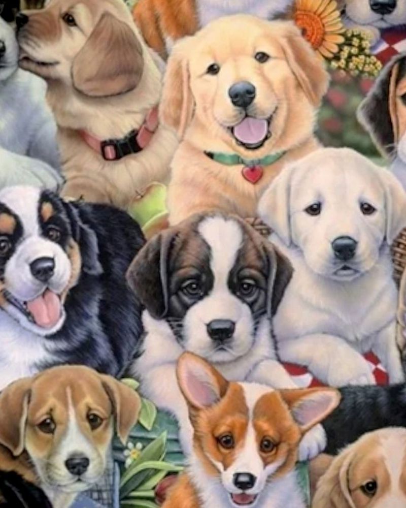 Puppies 23