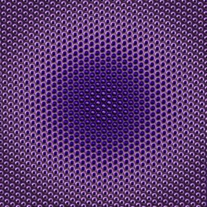 Purple Insect Eye