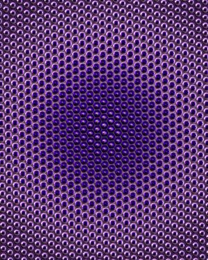 Purple Insect Eye