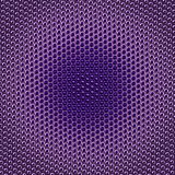 Purple-Insect-Eye.jpg