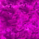 Purple-Turmoil.jpg