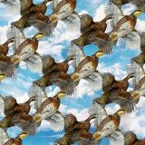 Quail-Covey-24.jpg