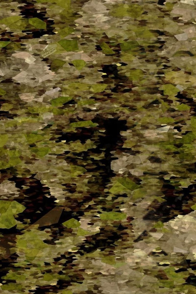 Raider Gladius Camouflage