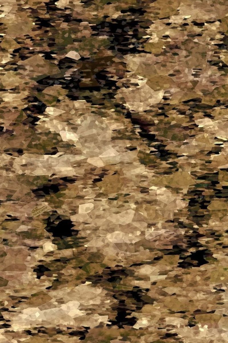 Raider Sabre Camouflage