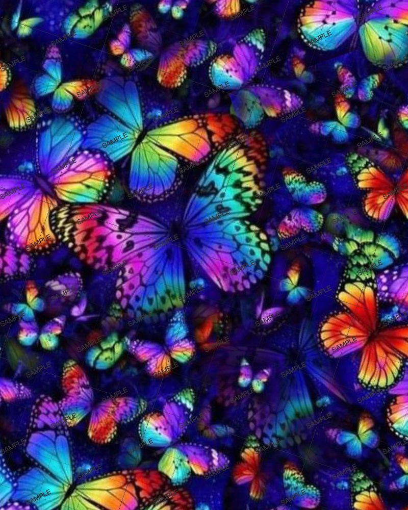 Rainbow Butterflies 23