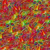 Rainbow-Electric-Skulls.jpg