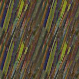 Rainbow-Eucalyptus-Bark.jpg
