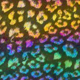 Rainbow-Leopard-25.jpg