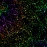 Rainbow-Lightning-22.jpg