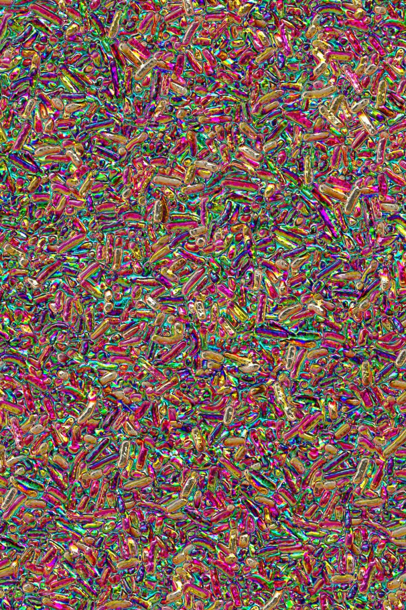 Rainbow Maggots