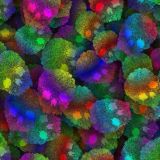 Rainbow-Paisley-Skulls-42-thumb.jpg