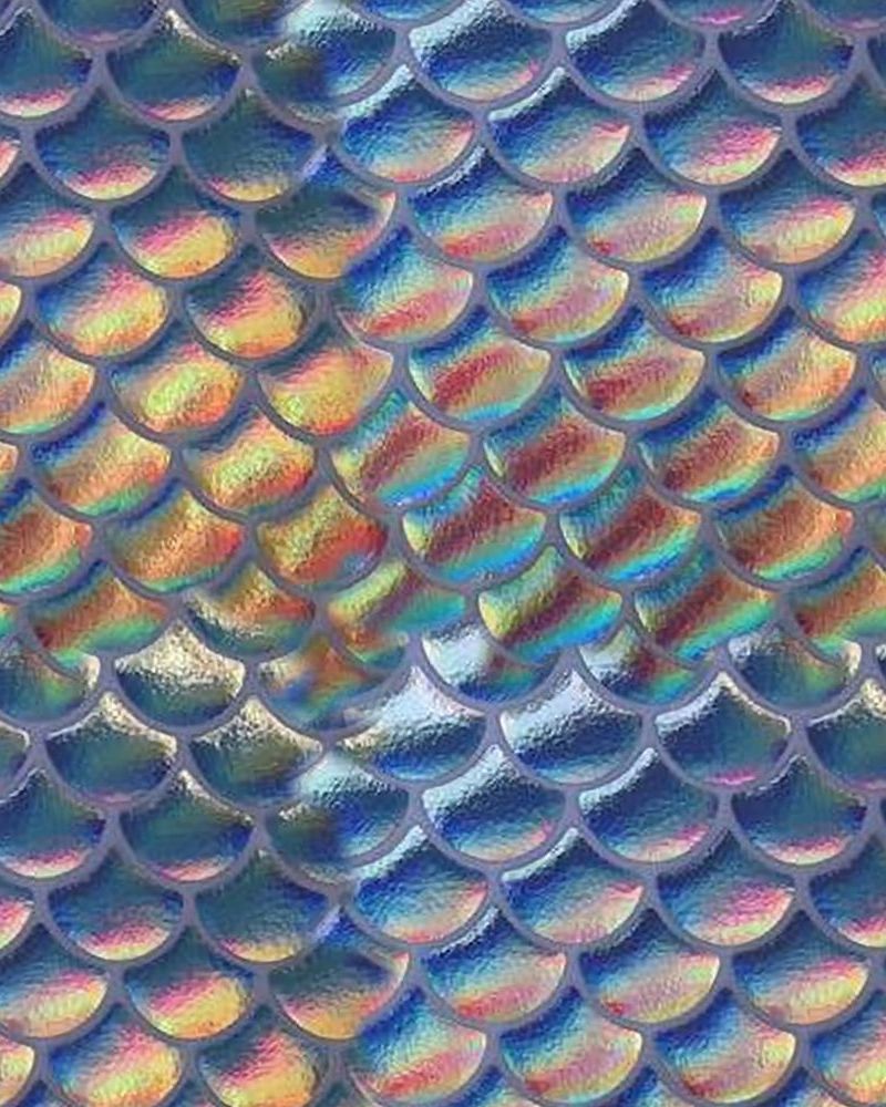Rainbow Scales 27