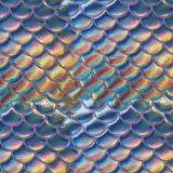 Rainbow-Scales-27.jpg