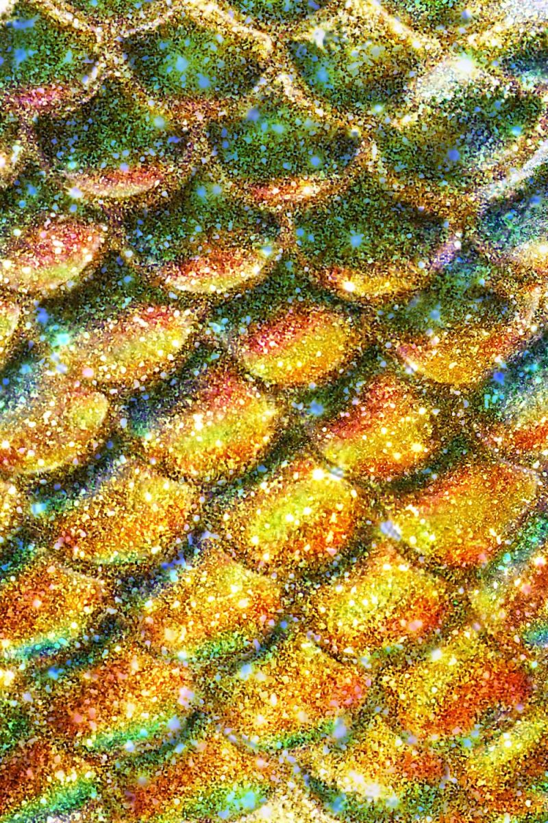 Rainbow Scales 28