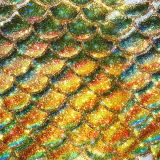 Rainbow-Scales-28.jpg
