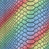 Rainbow-Snake-Skin.jpg