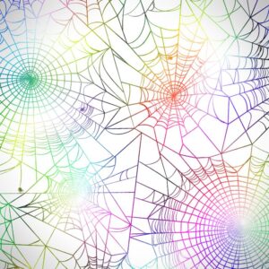 Rainbow Spider Web 22