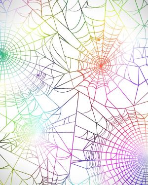 Rainbow Spider Web 22