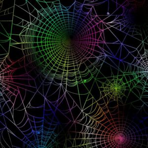 Rainbow Spider Web 23